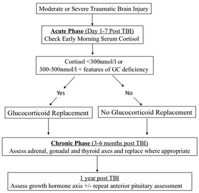 Post-Traumatic Hypopituitarism—Who Should Be Screened, When, and How?